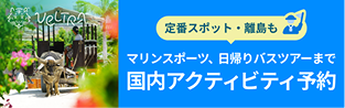 定番スポット・離島も マリンスポーツ、日帰りバスツアーまで 国内アクティビティ予約