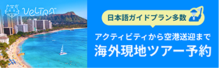 日本語ガイドプラン多数 アクティビティから空港送迎まで 海外現地ツアー予約