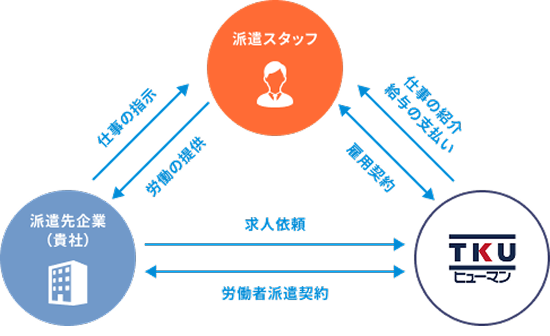 派遣スタッフ↔ 雇用契約 ↔TKUヒューマン 派遣スタッフ→ 仕事の紹介給与の支払→TKUヒューマン 派遣スタッフ→労働の提供→派遣先企業（貴社） 派遣先企業（貴社）→仕事の指示→派遣スタッフ 派遣先企業（貴社）→求人依頼→TKUヒューマン 派遣先企業（貴社）↔労働者契約↔TKUヒューマン