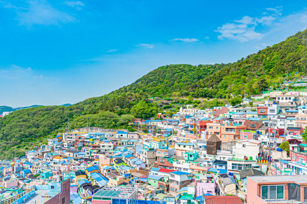 旅行画像