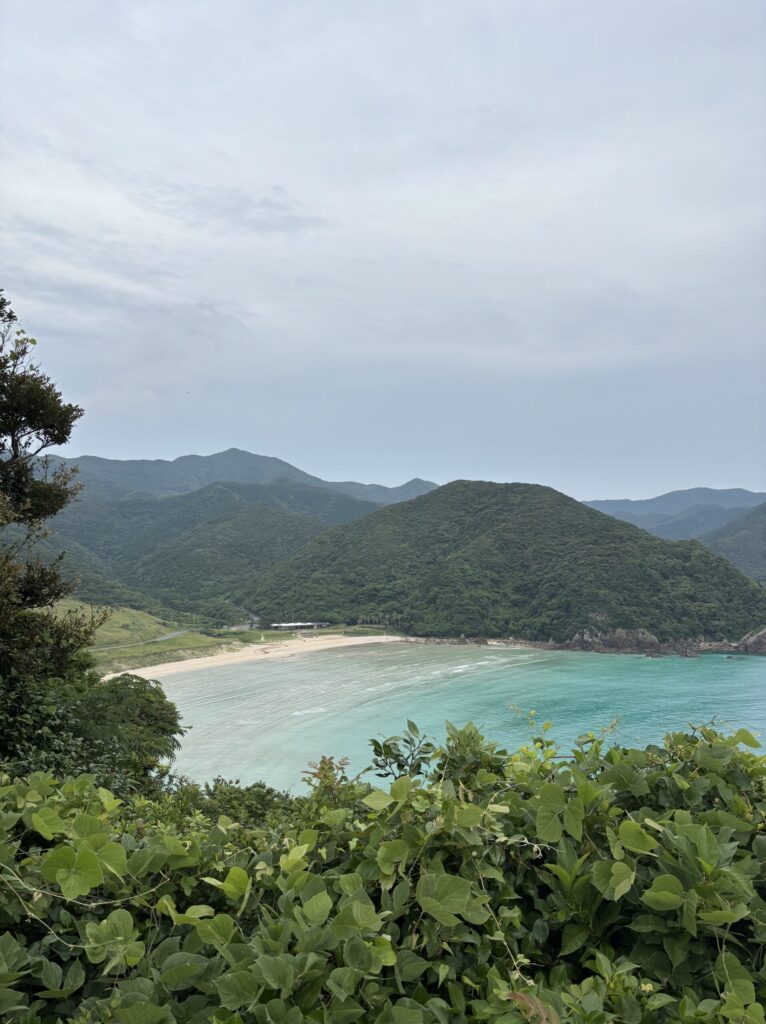 旅行画像